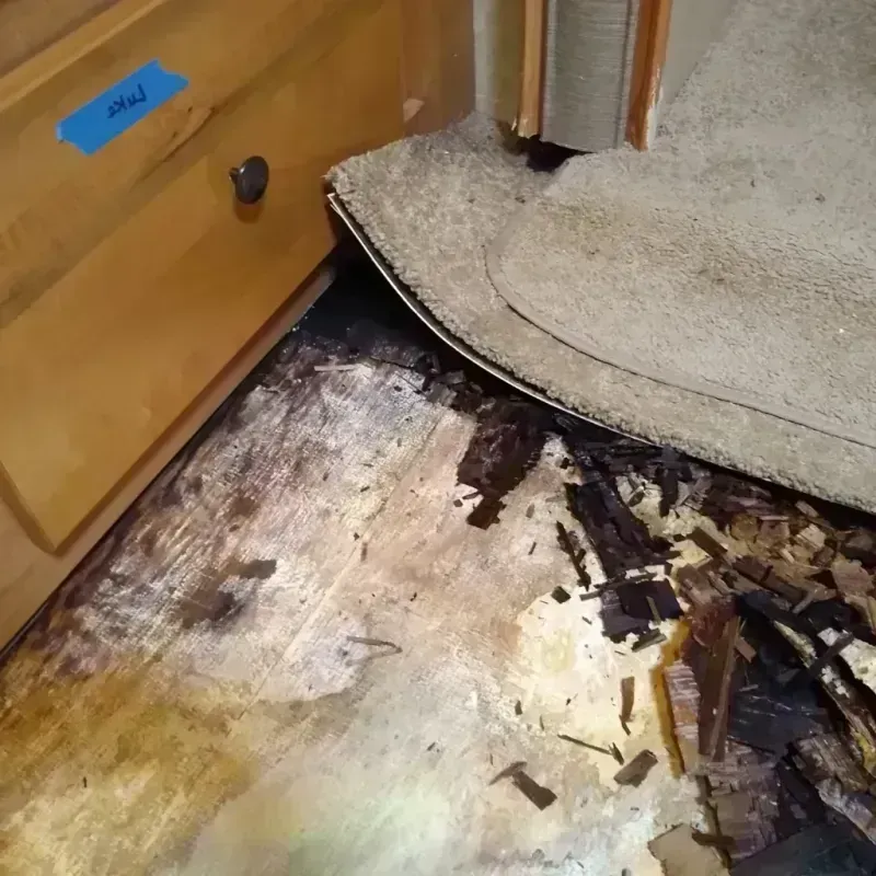 Wood Floor Water Damage in Holland, MI